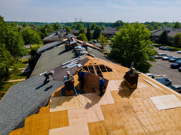 Trusted Roof Replacement service in Mineral Wells, WV - Brentwood Metal Roofing